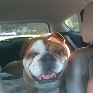 Meet your Posher, Sheri