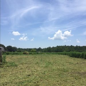 Meet your Posher, Mohammed