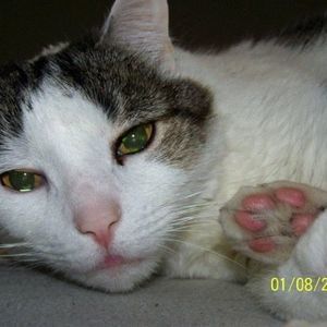 Meet your Posher, Marissa