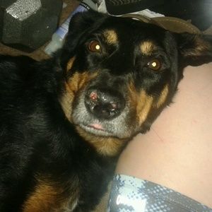 Meet your Posher, Jacquelyn