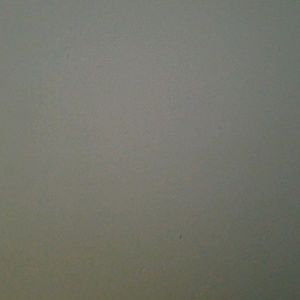 Meet your Posher, Martin