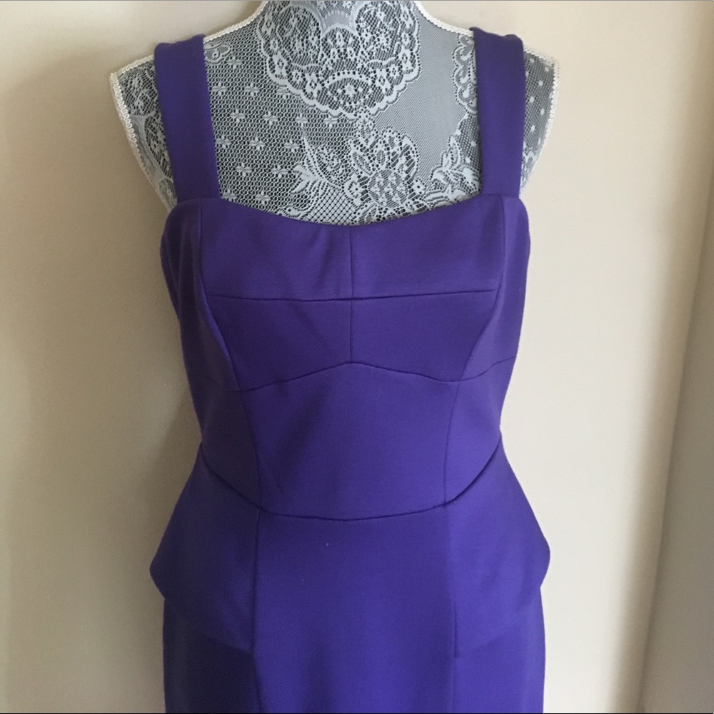 Cynthia Steffe Purple Peplum dress