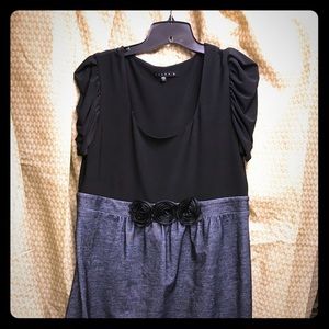 EUC Tiana B dress