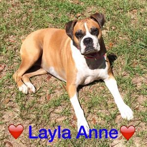 Meet your Posher, Nikki