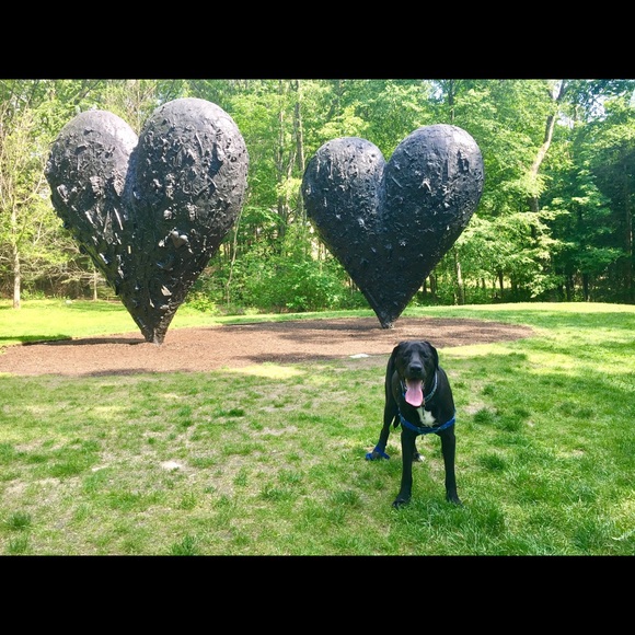 Meet your Posher, Samantha - Picture 1 of 1