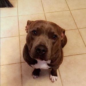 Meet your Posher, Destiny