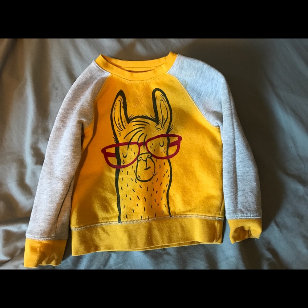 Toddler character sweatshirts