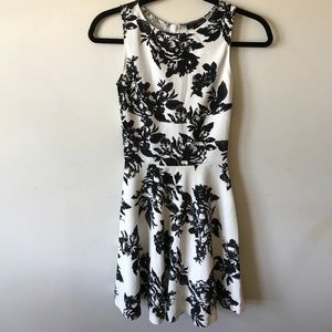 Aqua Black and White Floral Skater Dress