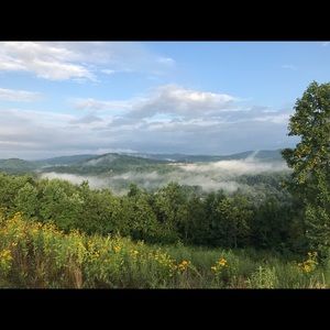 Meet your Posher, Madison