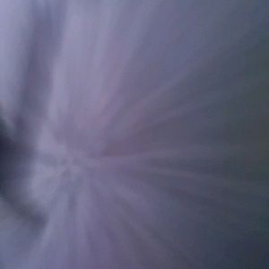 Meet your Posher, Alycia