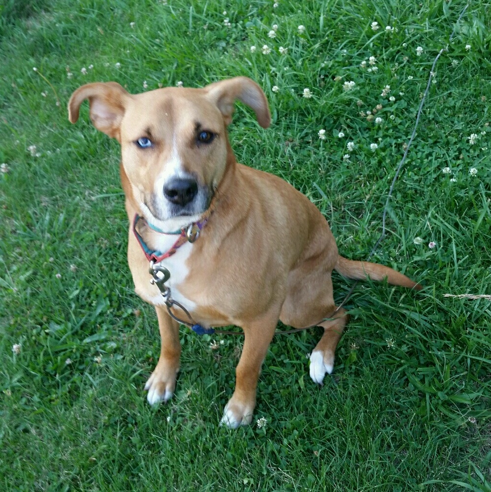 Meet your Posher, Heidi