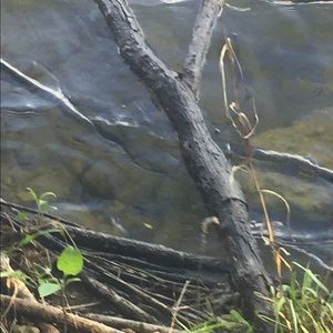 Meet your Posher, Jaden