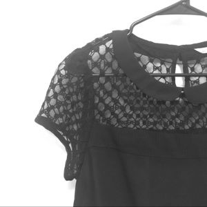 Lauren Conrad Sheer Blouse