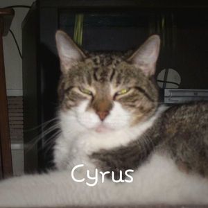 Meet your Posher, Annette