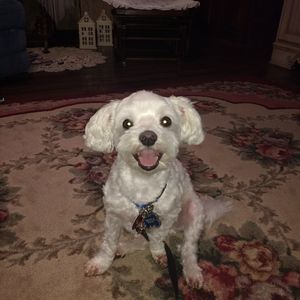 Meet your Posher, Leah