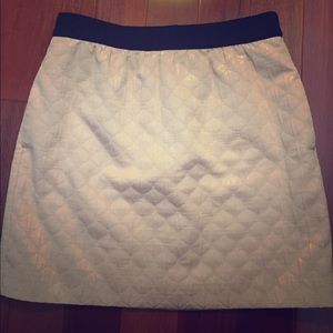 Ann Taylor Loft Baby Pink Shimmering Skirt