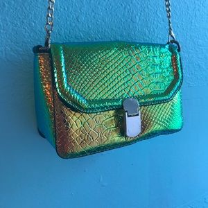 Holographic oil spill purse