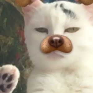 Meet your Posher, Shayna