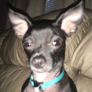 Meet your Posher, Denise