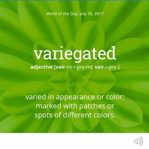 Meet your Posher, Kendall