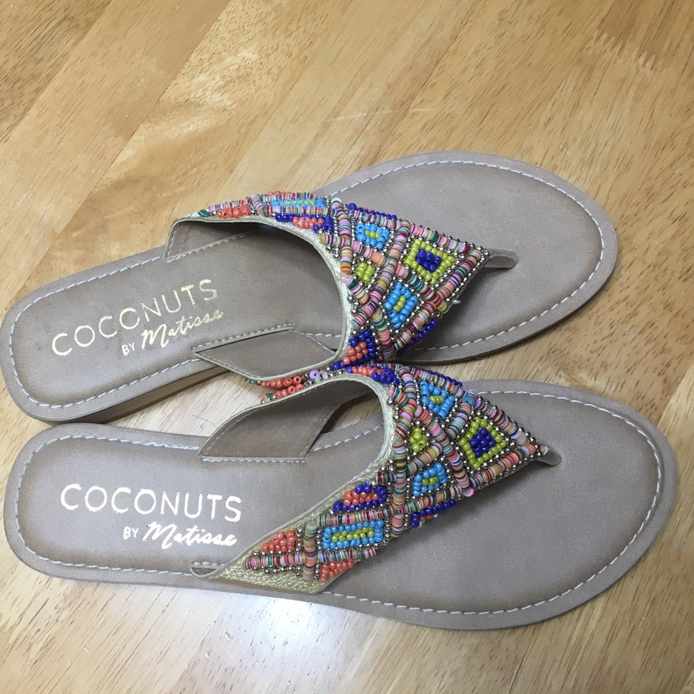 NEW NEW NEW Coconuts by Matisse