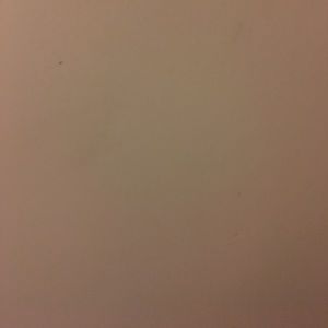 Meet your Posher, Rene