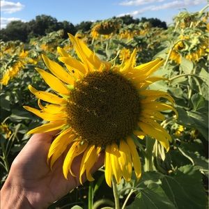 Meet your Posher, Tayler