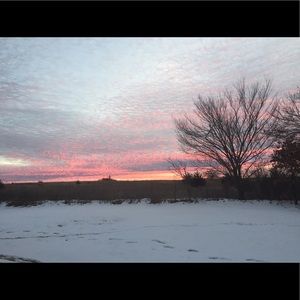 Meet your Posher, Rachael