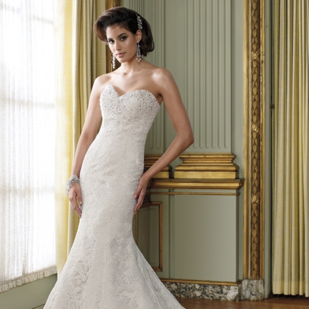 David Tutera Mermaid style Wedding Dress!