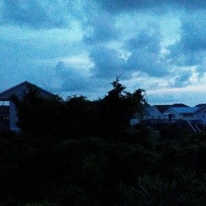 Meet your Posher, Lynn