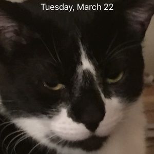 Meet your Posher, Joanne