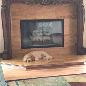 Meet your Posher, Julie