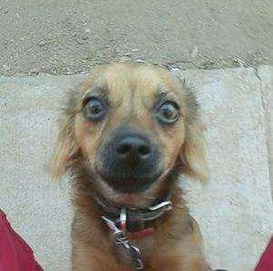 Meet your Posher, Juana