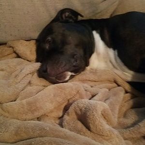 Meet your Posher, Fernando