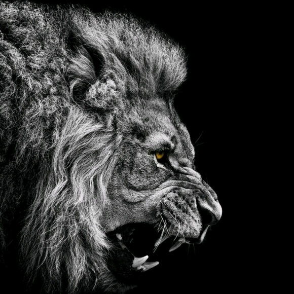 Meet your Posher, James - Picture 1 of 1