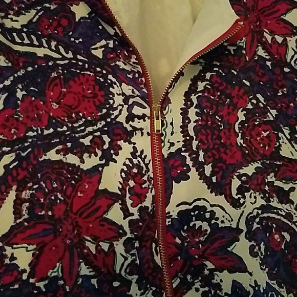 The Limited mini dress - Picture 3 of 4