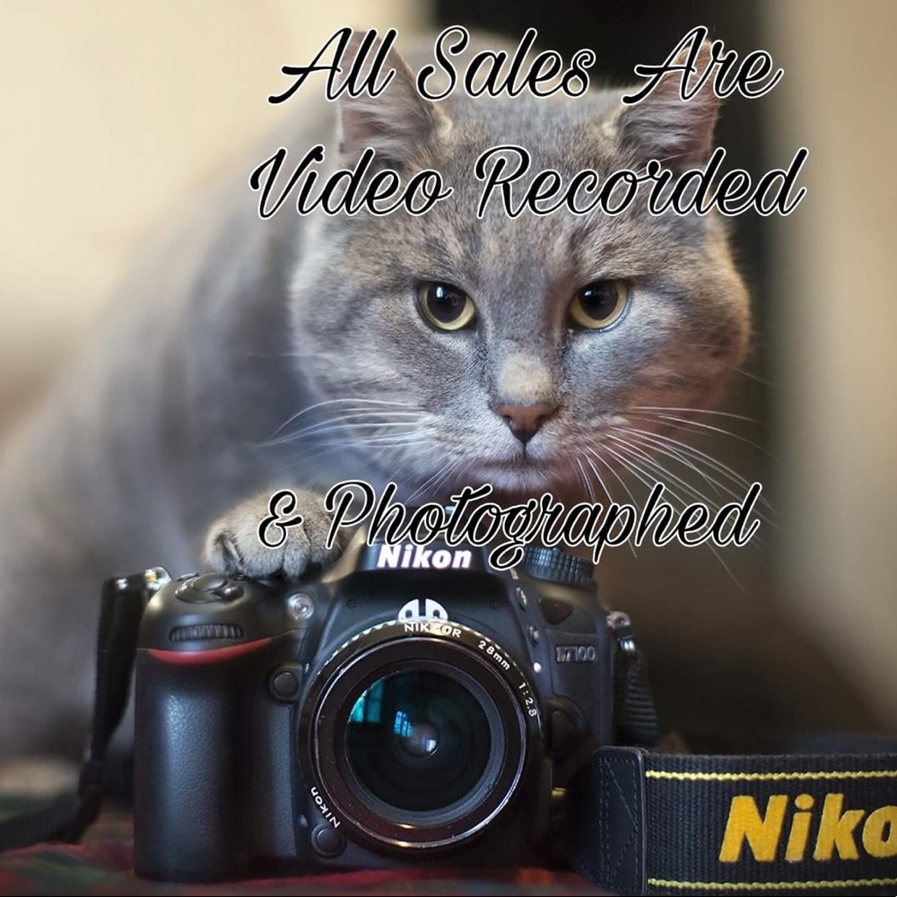 Packaging Process - image 1