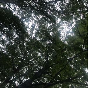 Meet your Posher, Liz