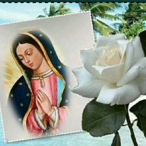 Meet your Posher, Juan diego