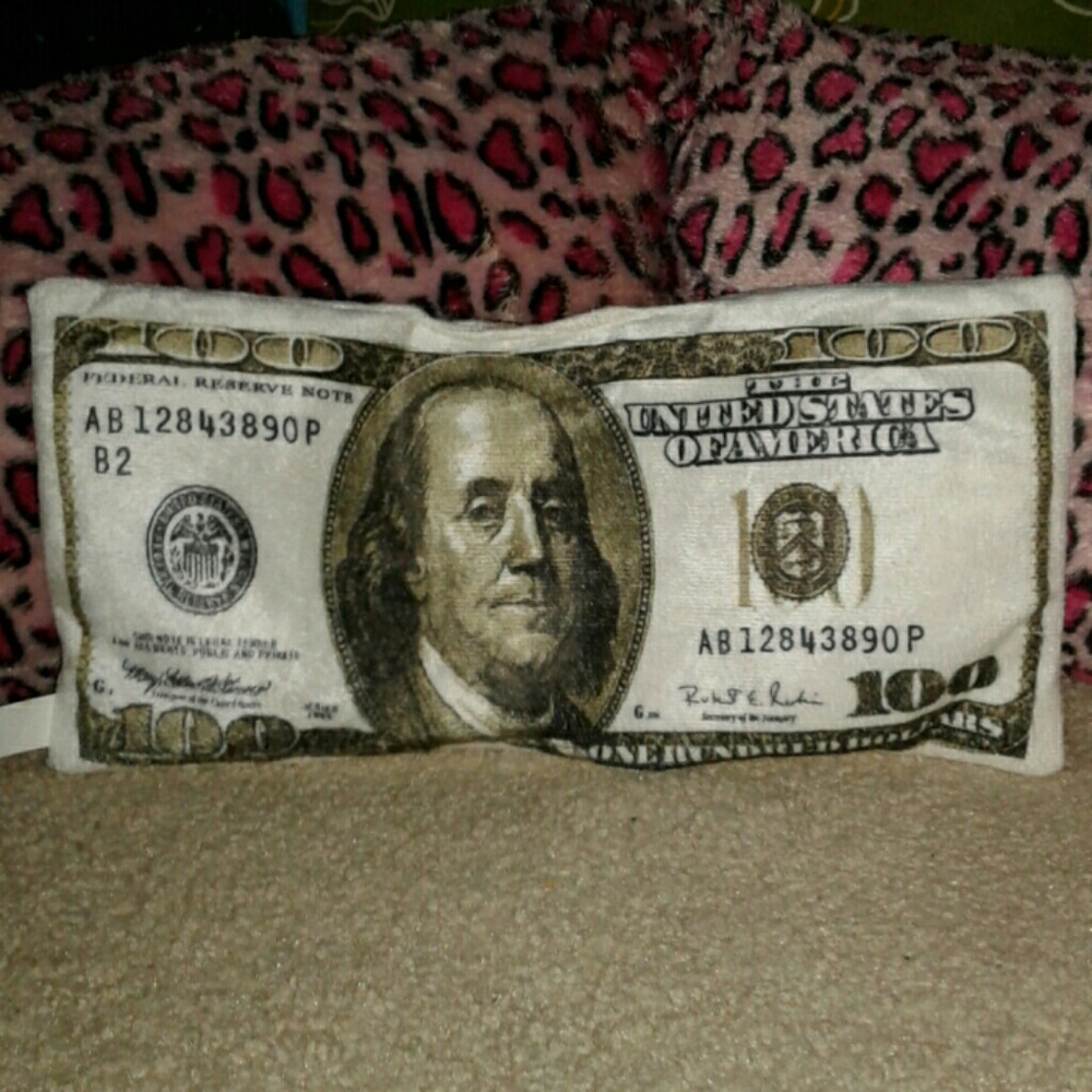 100$ bill pillow