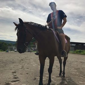 Meet your Posher, James