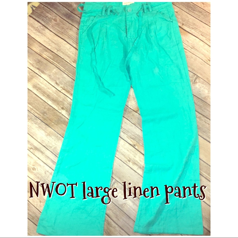 Nwot turquoise linen pants