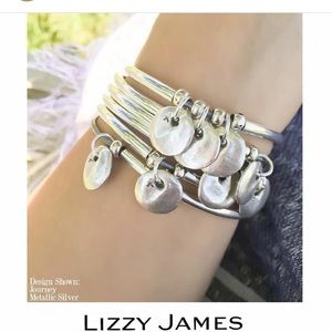 Lizzy James Silver Necklace/Bracelet