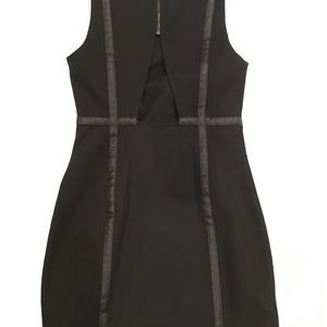 BCBG sheath