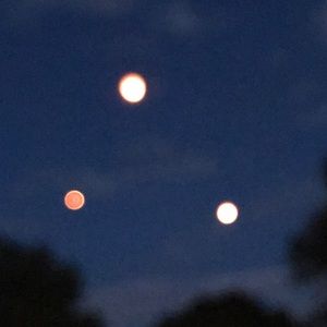 Meet your Posher, Patrick