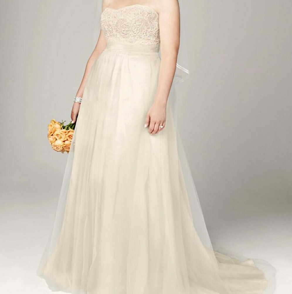 Plus size wedding gown