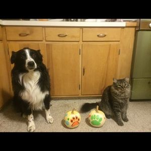 Meet your Posher, Maggie