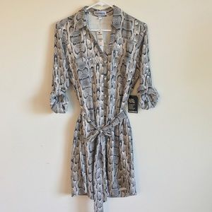 Express Portofino Shirt Dress