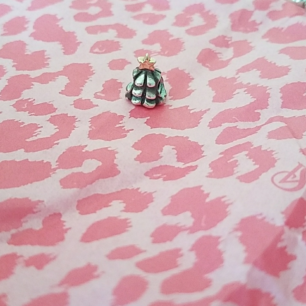 🦋2 for 30 🦋 Pandora Charm