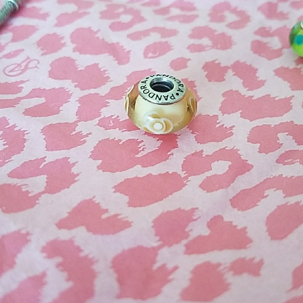 🦋2 for 30 🦋 Pandora Charm